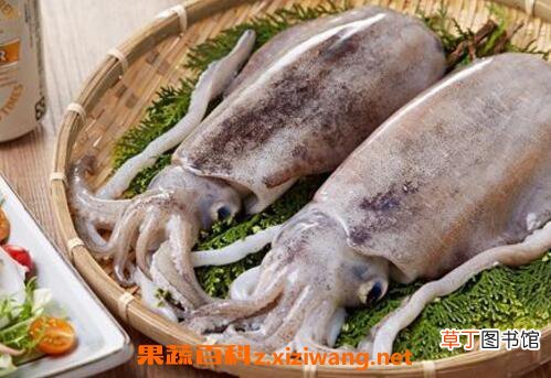 章鱼和墨鱼的功效与作用