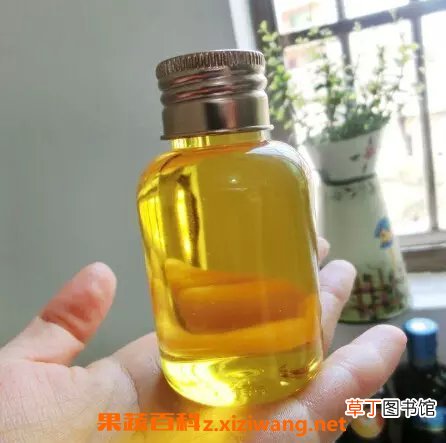 荷荷巴油的功效与作用