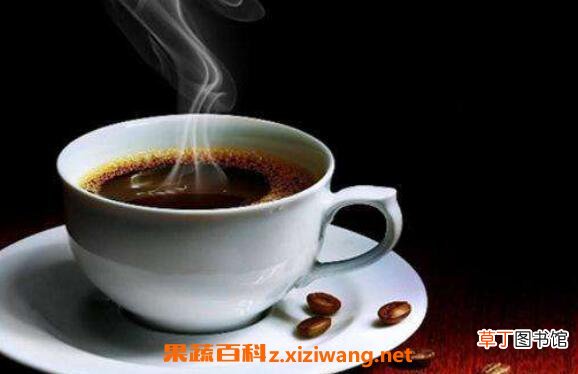 苏门答腊咖啡怎么喝 苏门答腊咖啡特点
