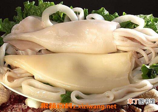 孕妇吃墨鱼有什么作用与功效