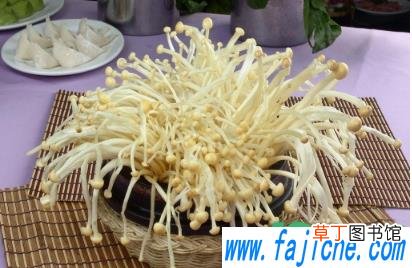 怎么判断金针菇还能不能吃 金针菇洗过后放时间久了有毒吗