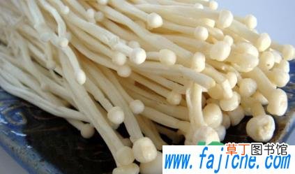 怎么判断金针菇还能不能吃 金针菇洗过后放时间久了有毒吗