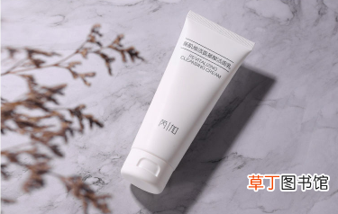 芮加和珀莱雅是什么关系