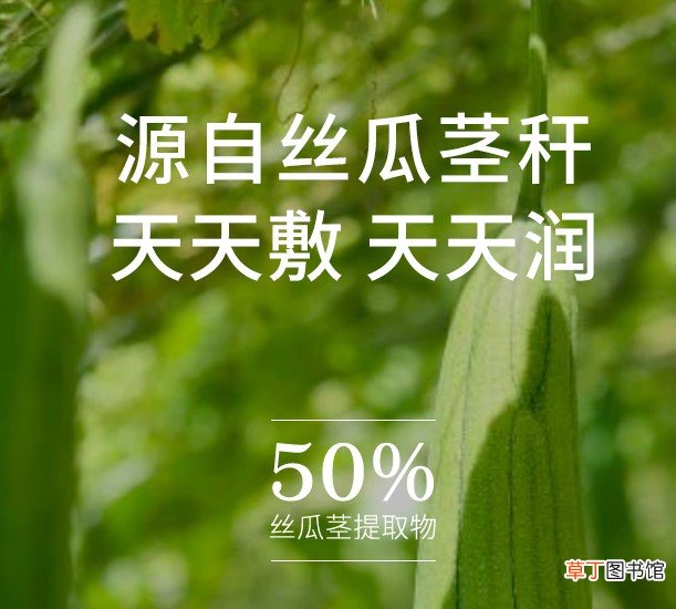 老牌国货收缩毛孔的
