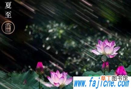 夏至下雨?好不好 2021年夏至会下雨吗