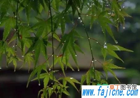 夏至下雨?好不好 2021年夏至会下雨吗