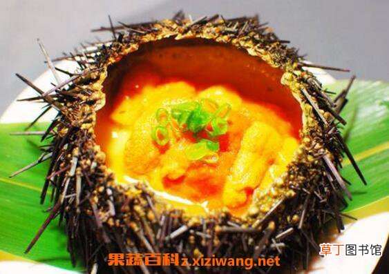 海胆如何吃 海胆的吃法和食用方法