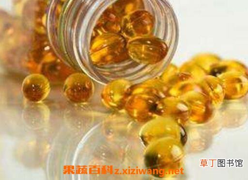 鱼肝油的功效与作用及禁忌
