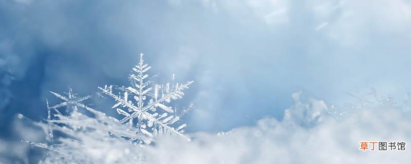 雪花的别称