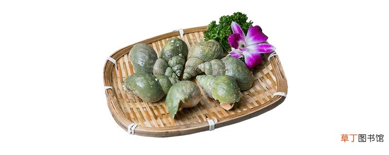 石螺和田螺的区别