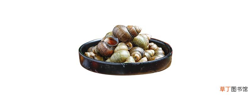 石螺和田螺的区别