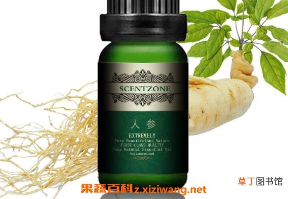 人参精油的功效与作用 人参精油的用法