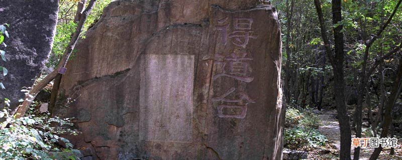 鬼谷子姓什么