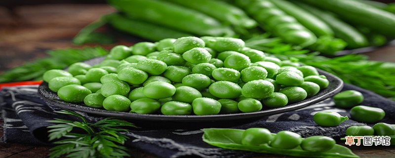鹰嘴豆和豌豆区别