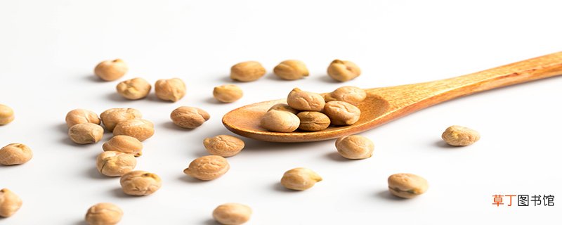 鹰嘴豆和豌豆区别