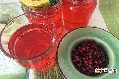 中药代茶饮之五味子-可以代茶饮的中草药五味子