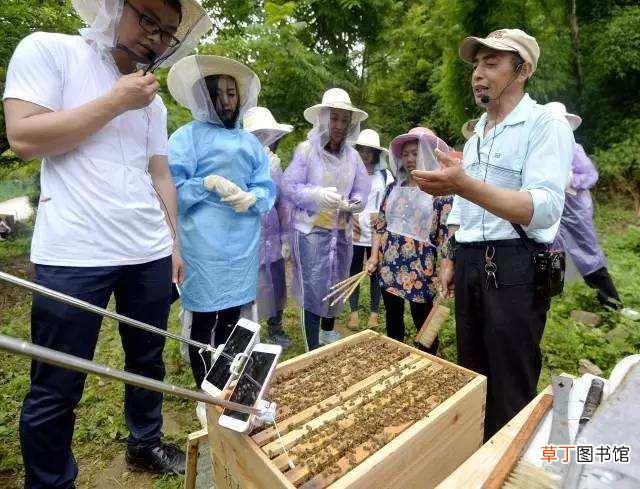 适宜在农村创业致富的项目有哪些，推荐以下几个项目