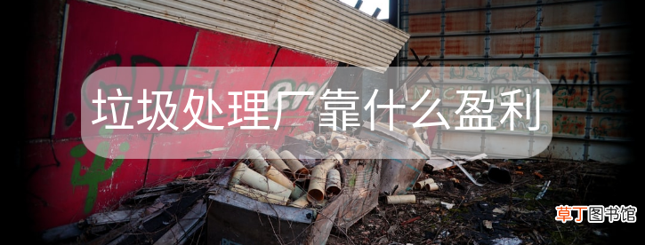 垃圾处理厂靠什么盈利 农村开一个垃圾处理厂