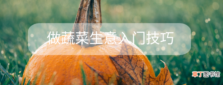 蔬菜生意如何做 做蔬菜生意入门技巧