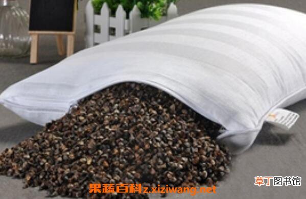 荞麦枕头的功效与作用 用荞麦枕头的好处