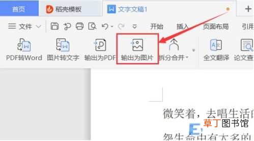 把word表格转换成jpg图片格式方法 如何将word转换成图片