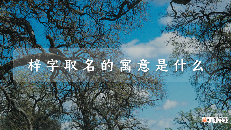 梓字取名的寓意是什么