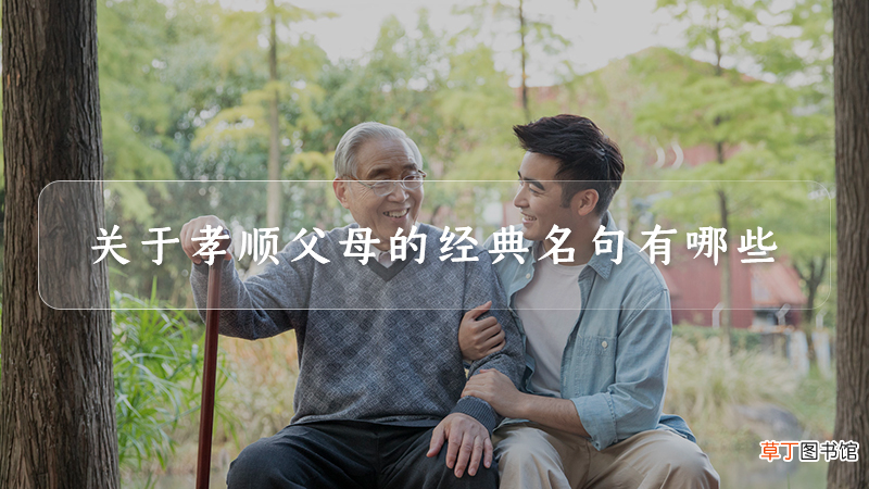 关于孝顺父母的经典名句有哪些