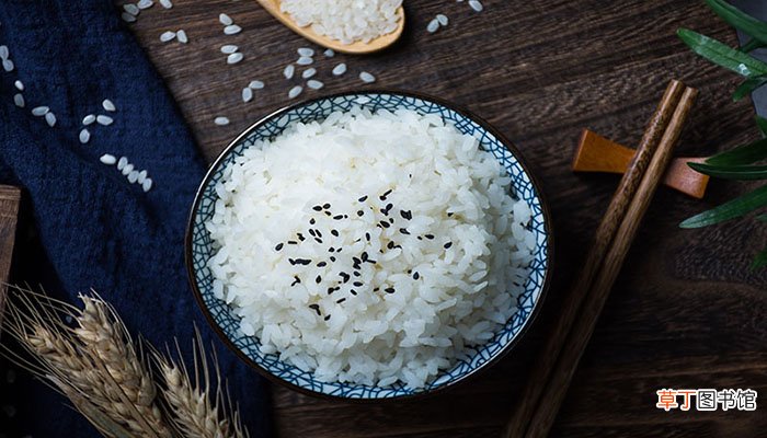 大米是什么农作物