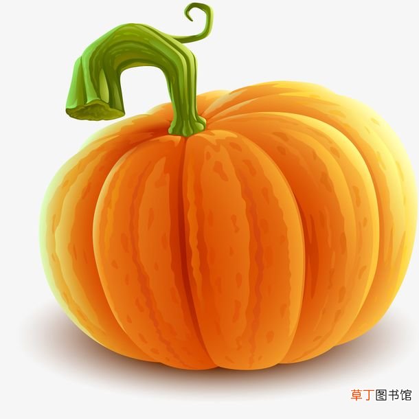 南瓜是主食还是蔬菜