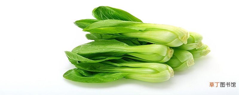 菘菜和大白菜的区别
