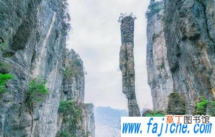 抖音机票盲盒怎么买 抖音98元机票盲盒是真的吗
