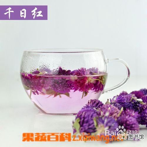 千日红的功效与药用作用