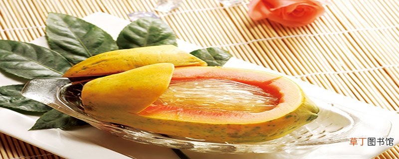 鱼翅是鲨鱼的什么部位