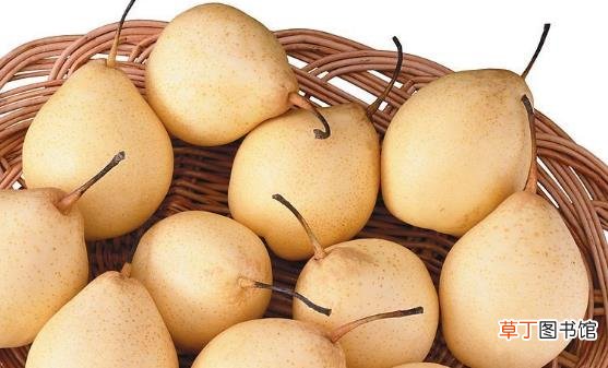 年轻的女性保养卵巢 保养卵巢需要吃的十种食物