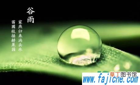 2022年谷雨是农历几月几号 谷雨是几月几号2022年几点