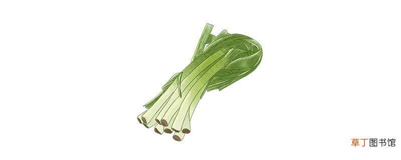 青蒜是什么