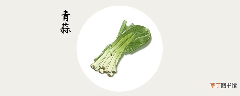 青蒜是什么