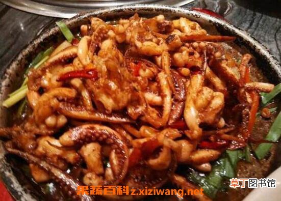 鱿鱼怎么做好吃 鱿鱼的家常做法技巧