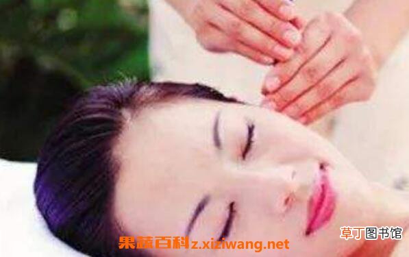 采耳的功效和作用及注意事项