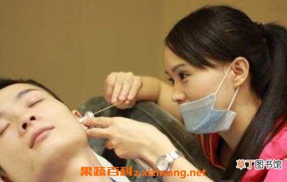 采耳的功效和作用及注意事项