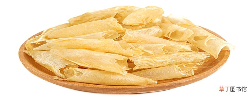 鱼胶是什么做的