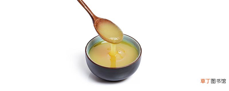 蜂王浆的主要成分是什么