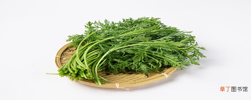 泥蒿和茼蒿的区别