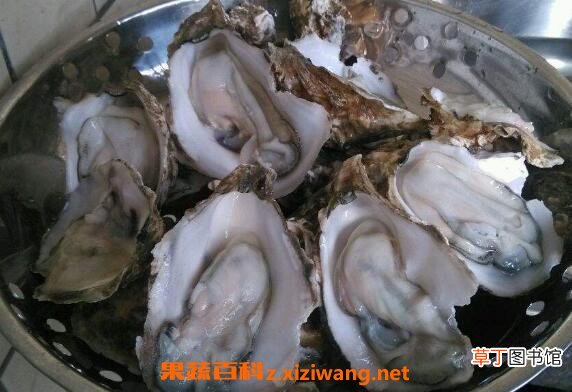生蚝怎么吃最好 生蚝的食用方法技巧
