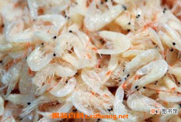 虾皮怎么吃 虾皮的家常吃法技巧