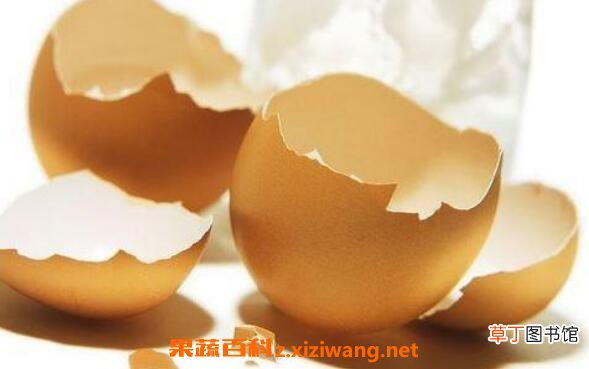 鸡蛋壳有什么用处 鸡蛋壳的妙用