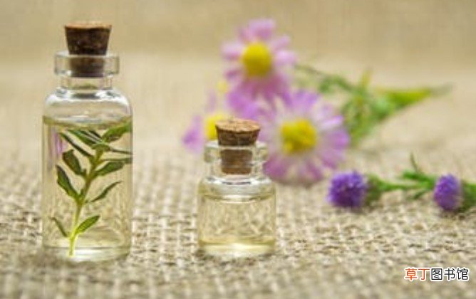 茉莉精油的功效与用法