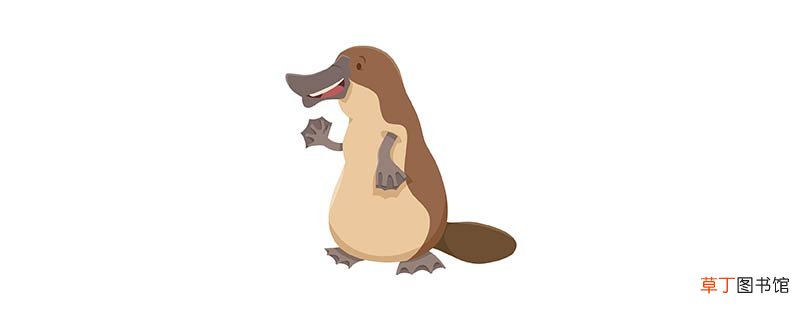 鸭嘴兽吃什么