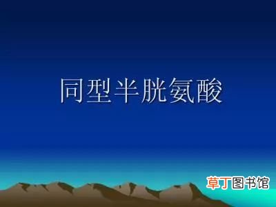 同型半胱氨酸偏高怎么回事-为什么会同型半胱氨酸偏高