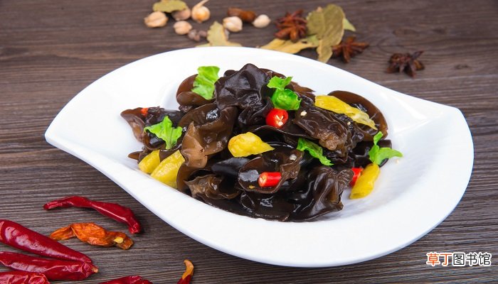 木耳属于什么类